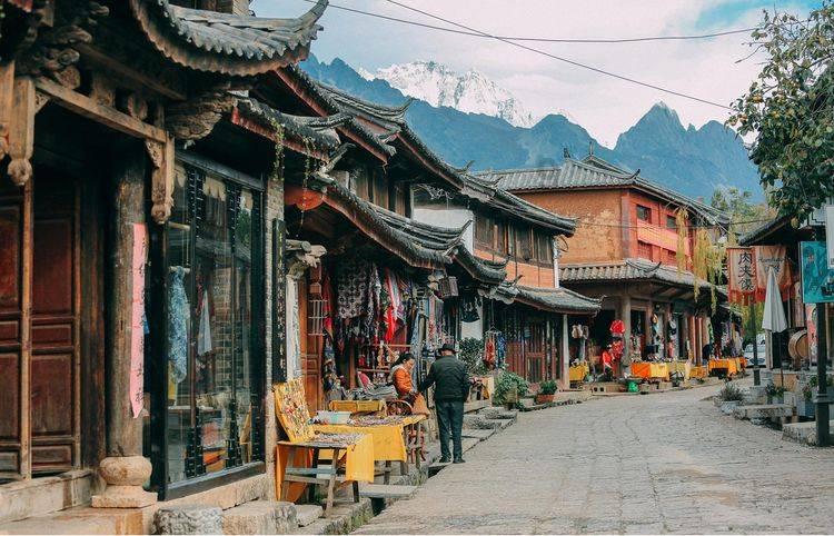动物帮帮忙保卫家园